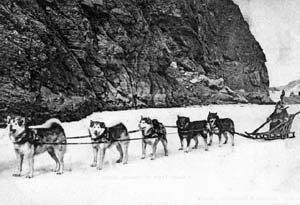 a malamute team 1906 source: Getchell
Library