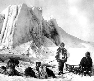 Inuit malamute store